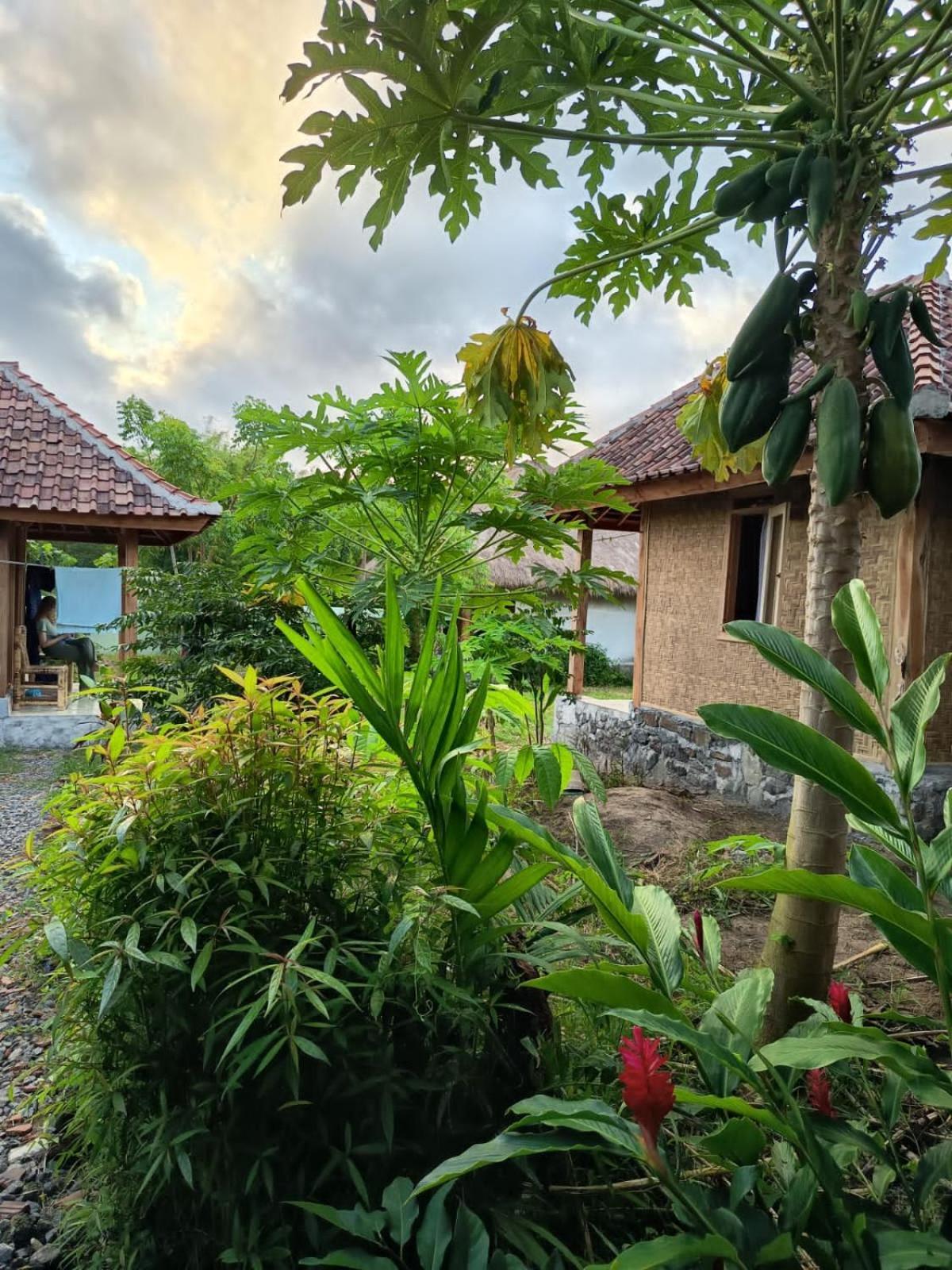 Hotel Melody Surf - Ekas Lombok Exterior foto