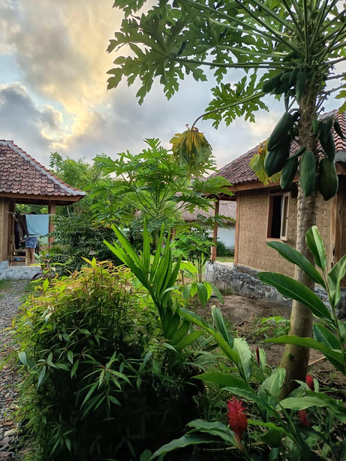 Hotel Melody Surf - Ekas Lombok Exterior foto